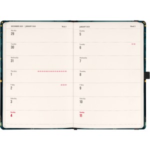 Agenda / notesz Fox 2026, 13 x 21 cm (naptr)