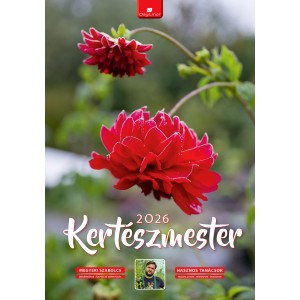 Kertszmester falinaptr (naptr)