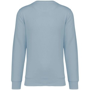 Native Spirit Drifter pulver, Aquamarine (pulver)