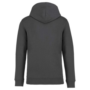 Native Spirit Surfer kapucnis pulver, Iron Grey (pulver)