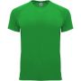 Roly Bahrain f�rfi sportp�l�, Fern green