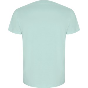 Roly Golden organikus pamut f�rfi p�l�, Mint green (T-shirt, p�l�, 90-100% pamut)