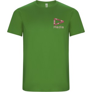 Roly Imola f�rfi sportp�l�, Fern green (T-shirt, p�l�, kevertsz�las, m�sz�las)